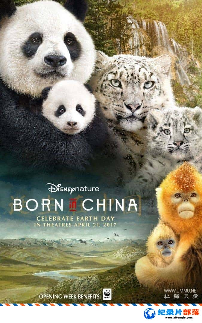 ̬¼Ƭǵй Born In ChinaӢ˫Ӣ˫-Ѹ