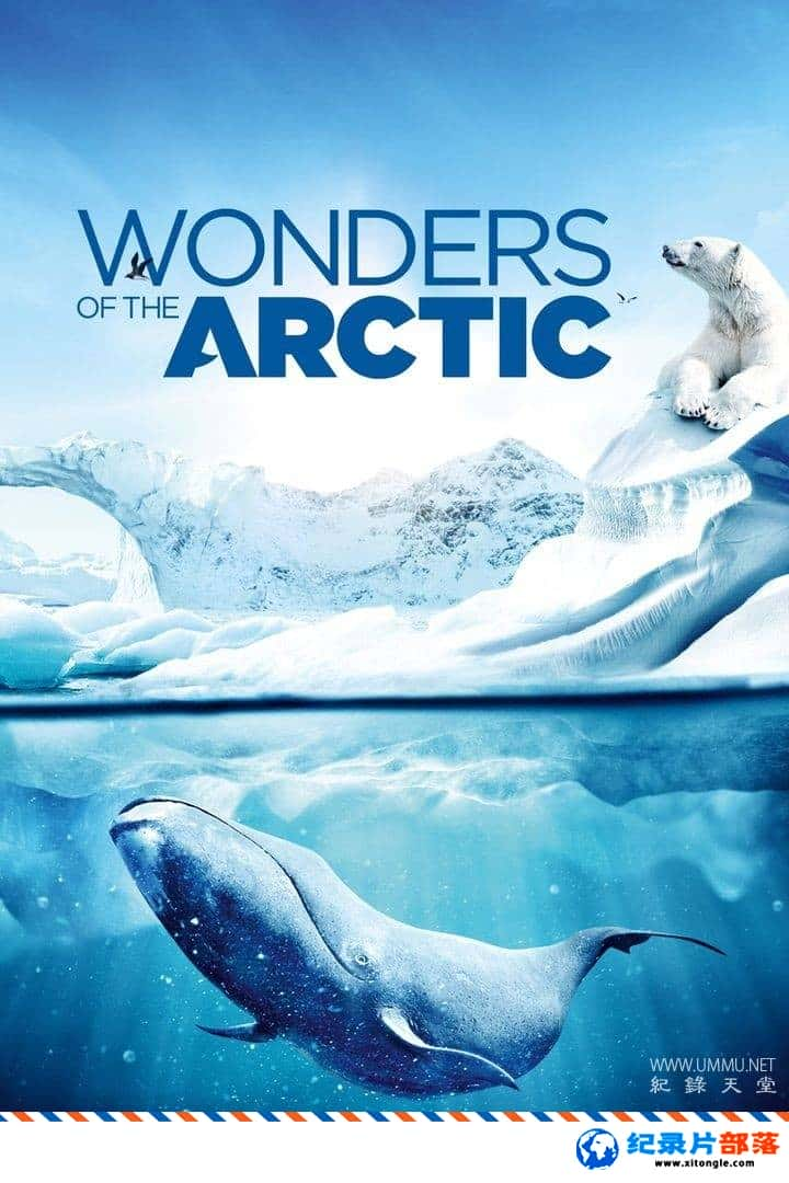 ̬¼Ƭ Wonders of the ArcticӢ-Ѹ