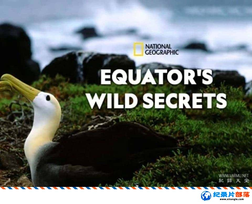 ̬¼Ƭ̽ҰԳ Equator Wild Secrets 2020 Ӣ-Ѹ