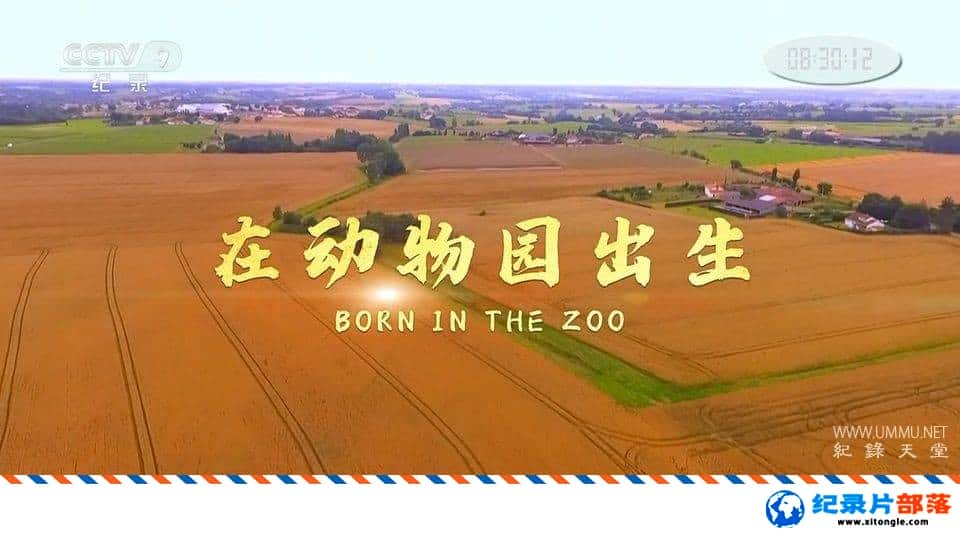 ѧ̽¼Ƭڶ԰ Born in the zoo-Ѹ