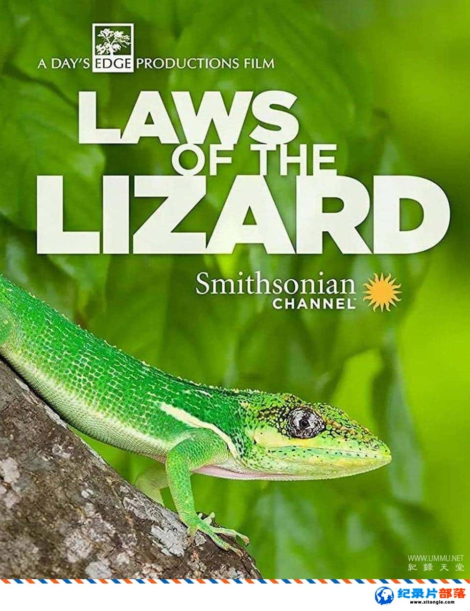 ѧ̽¼Ƭ淨 Laws of the Lizard-Ѹ