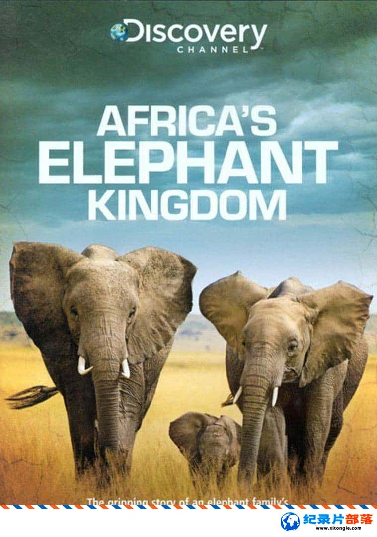 ̬¼Ƭ޵Ĵ Africa Elephant Kingdom 1998Ӣ-Ѹ