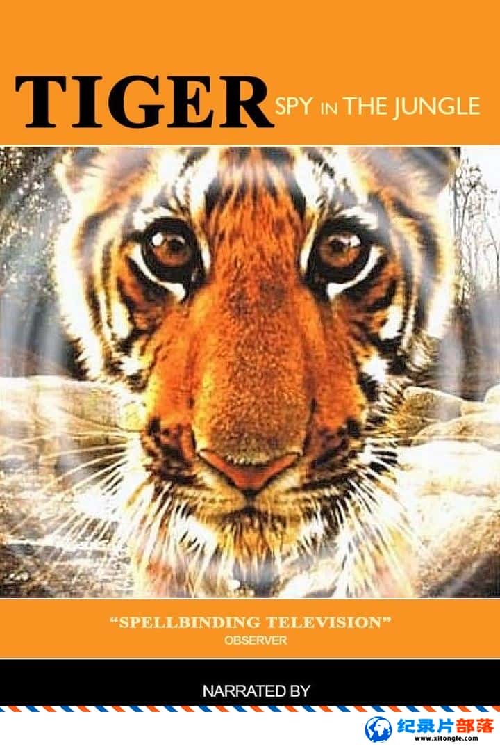 ѧ̽¼Ƭп̽ Tiger - Spy in the Jungle 2008 -Ѹ