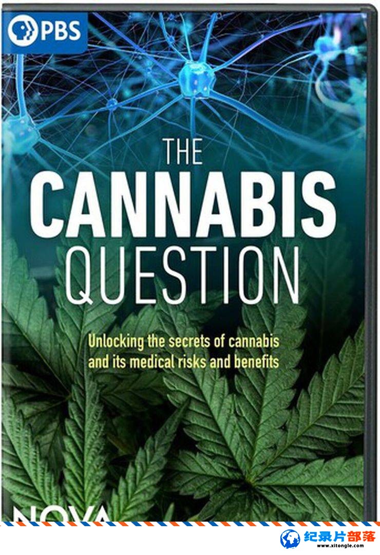 ʷ¼Ƭش The Cannabis Question 2021Ӣ-Ѹ