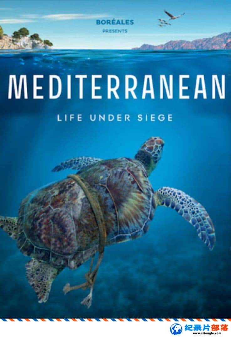 ̬¼Ƭк Mediterranean: Life Under Siege 2022 Ӣ-Ѹ