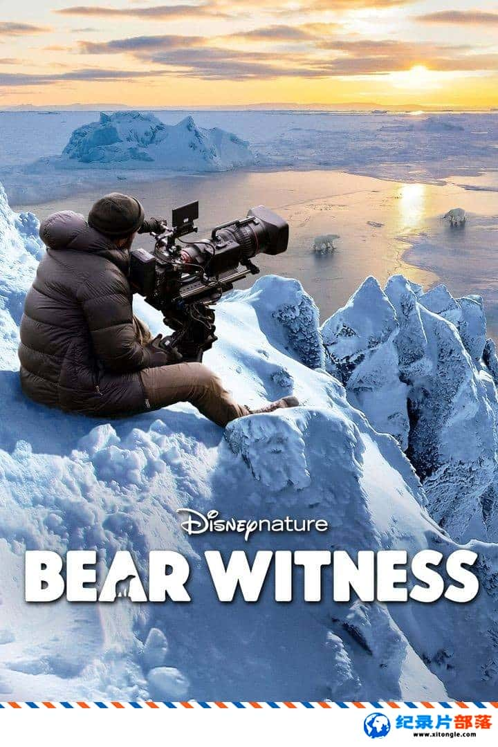 ̬¼Ƭ Bear Witness 2022Ӣ-Ѹ