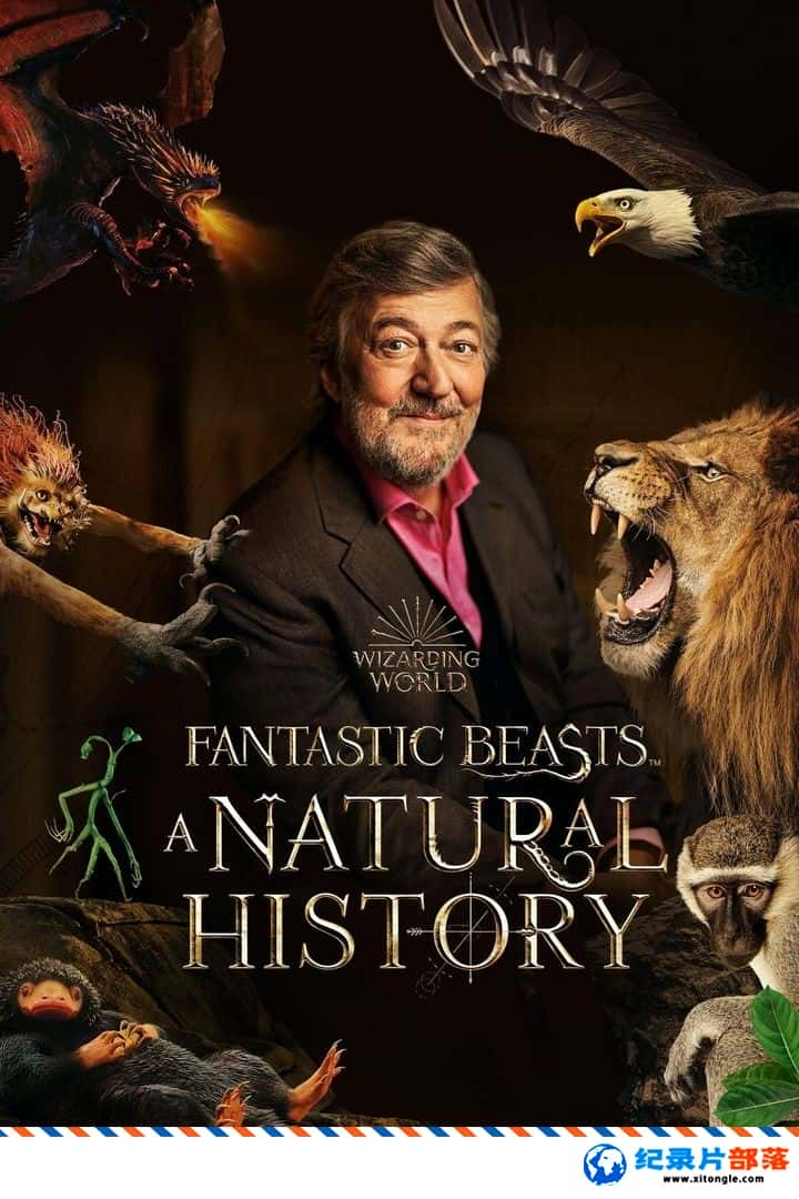 ʷ¼Ƭ涯һȻʷ Fantastic Beasts: A Natural History 2022Ӣ-Ѹ