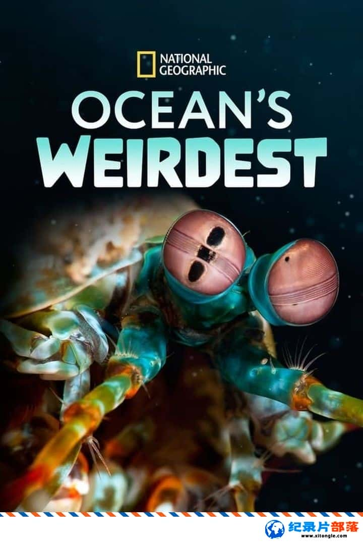 ̬¼Ƭĺ Oceans Weirdestһ Ӣ-Ѹ