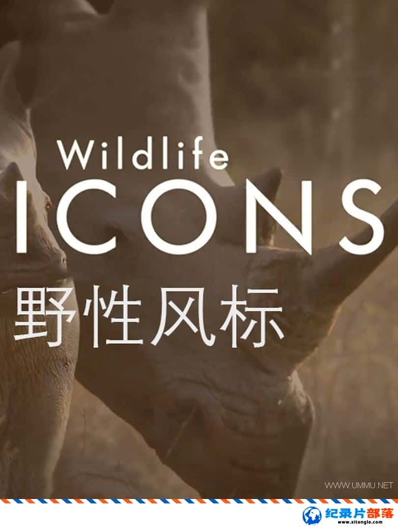 ̬¼ƬҰԷ Wild Life Iconsһ ӢӢ˫-Ѹ