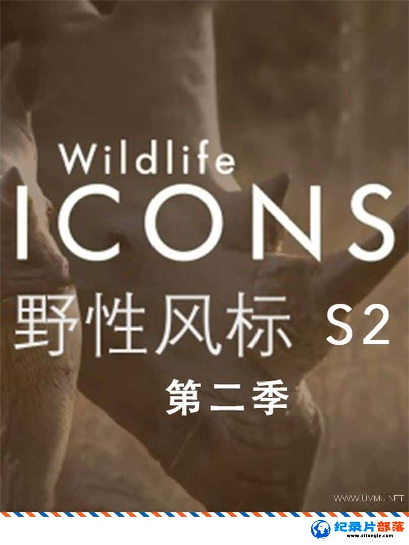 ̬¼ƬҰԷ Wild Life Iconsڶ ӢӢ˫-Ѹ