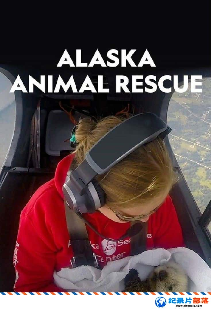 ̬¼Ƭ˹ҰԮ Alaska Animal Rescue 2020һ ӢҶ-Ѹ