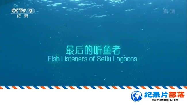 ʷ¼Ƭ Fish Listeners of Setiu Lagoons 2015-Ѹ