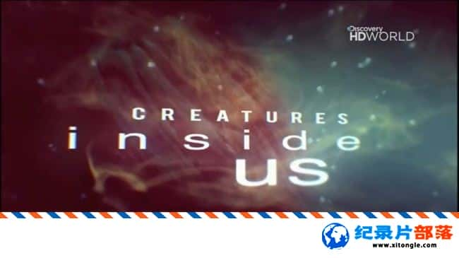 ѧ̽¼Ƭڵס Creatures Inside Us 2011Ӣ-Ѹ