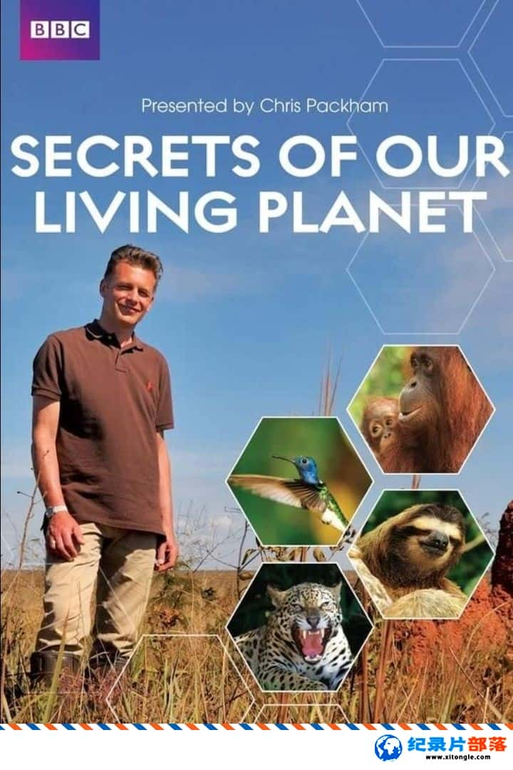 ̬¼Ƭ Secrets of Our Living Planet 2012 Ӣ-Ѹ