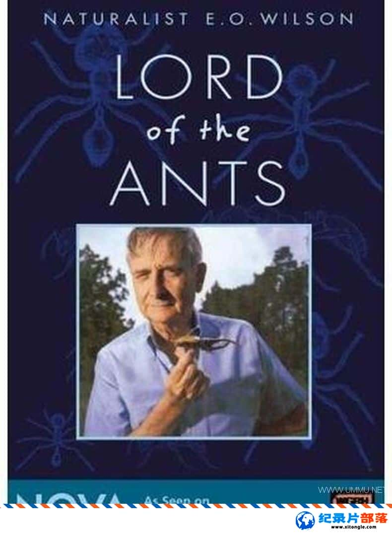 ̬¼Ƭר Lord of the Ants 2008Ӣ-Ѹ