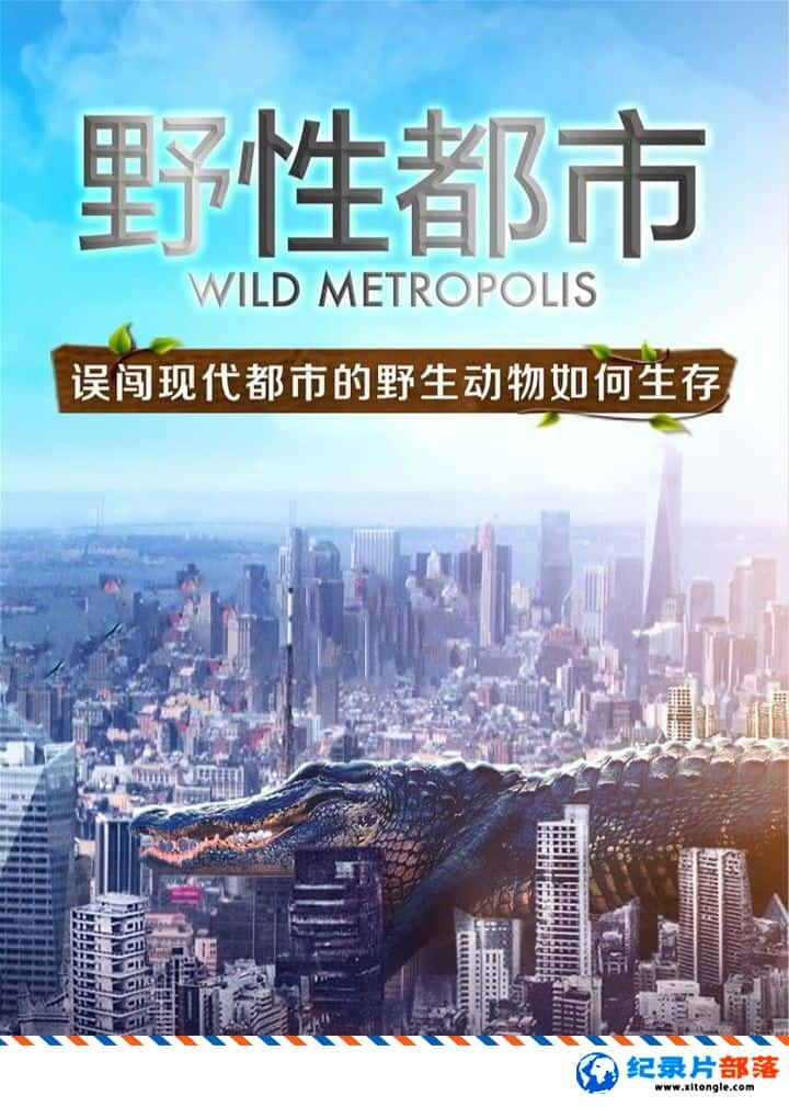 ̬¼ƬҰԶ Wild Metropolis 2018ӢӢ-Ѹ