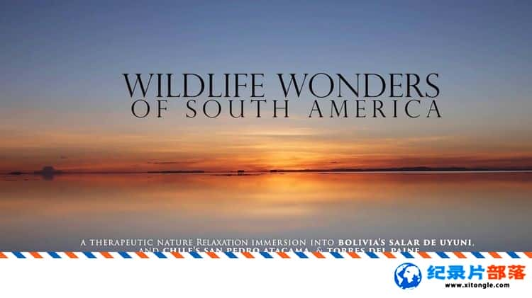 ̬¼ƬҰ Wildlife Wonders of South America޶԰ ˮӡ  Ұ-Ѹ