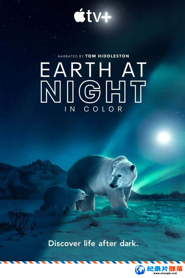 ¼¼Ƭҹɫеĵ Earth at Night in Color 2021ڶ Ӣ-Ѹ