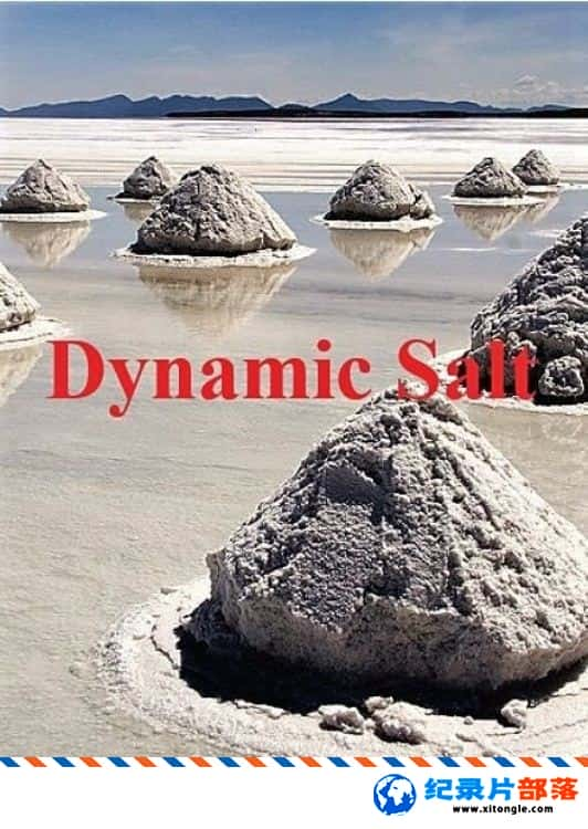 ѧ̽¼Ƭ Dynamic Salt 2015 ӢӢ-Ѹ