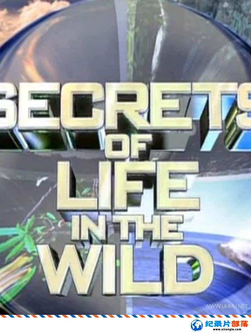 ̬¼ƬҰ Secrets of Life In the Wild -Ѹ