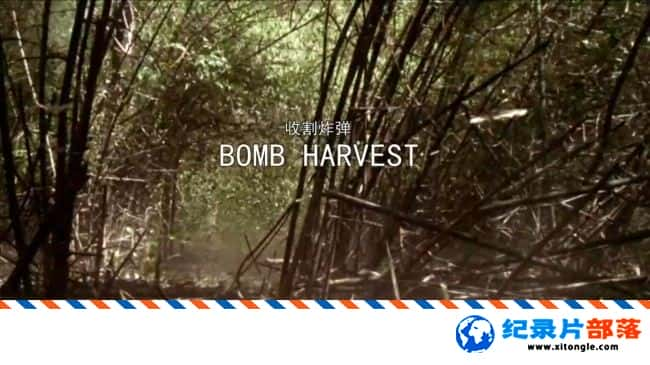 ĴǼ¼Ƭոը Bomb Harvest 2007Ӣ-