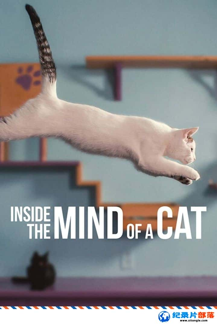 ѧ̽¼Ƭ˵˼ Inside the Mind of a Cat 2022Ӣ-Ѹ