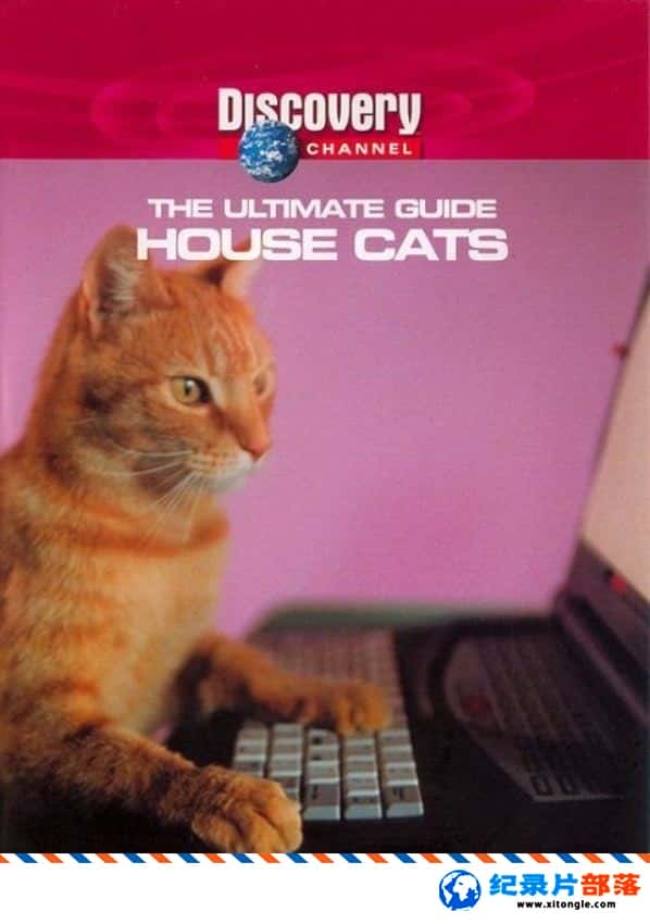 ѧ̽¼Ƭռָ è The Ultimate Guide House CatsӢ-Ѹ