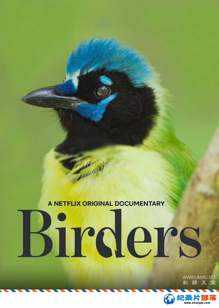 ʷ¼Ƭ BirdersӢ-Ѹ