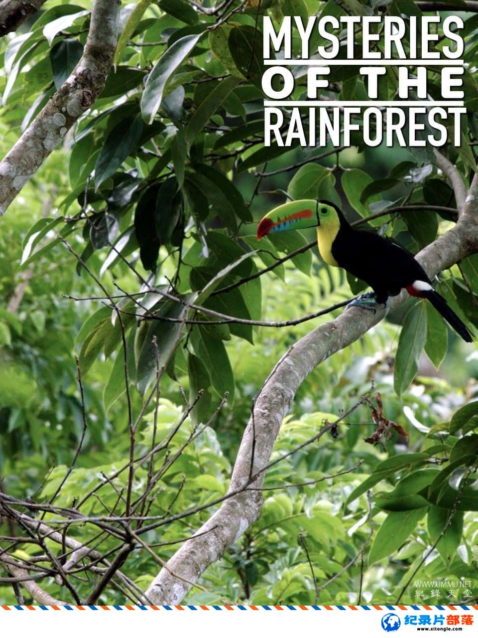 ̬¼Ƭȴֵİ Mysteries of the Rainforest 2016-Ѹ