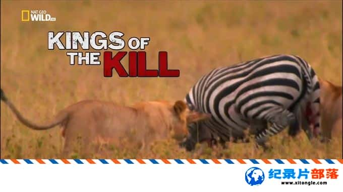 ¼Ƭ--ҵɱ֮ Kings of The Kill 2017Ӣ 1080P/MKV/1G ɱָٶ