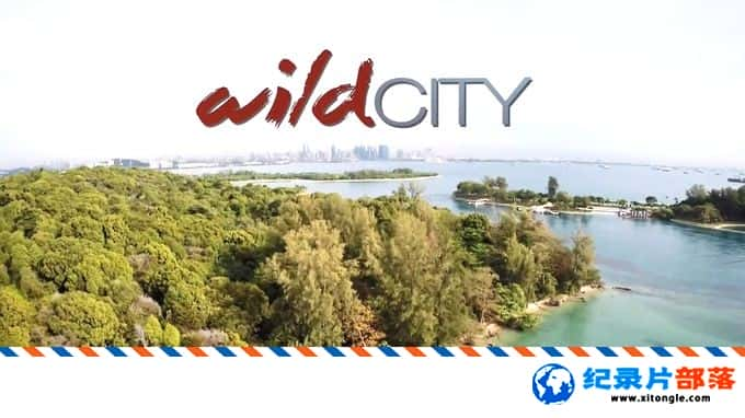 ̬¼ƬҰ/ǲҰʨ Wild City 2016 Ӣ  ¼̬¼Ƭ-Ѹ