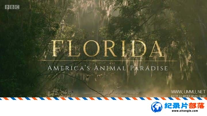 ̬¼Ƭ Florida America Animal Paradise 2019ӢӢ-Ѹ