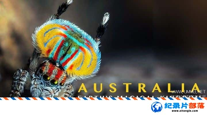 ̬¼ƬĴǣħ Australia Earth Magical Kingdom 2019һ ӢӢ-Ѹ