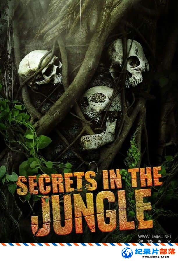 ѧ̽¼Ƭе Secrets in the Jungle 2022һ ӢӢ˫-Ѹ