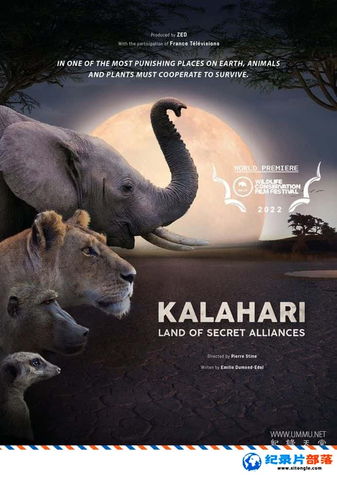 ̬¼Ƭؾ֮ Kalahari: Land of Secret Alliances 2022 Ӣ-Ѹ