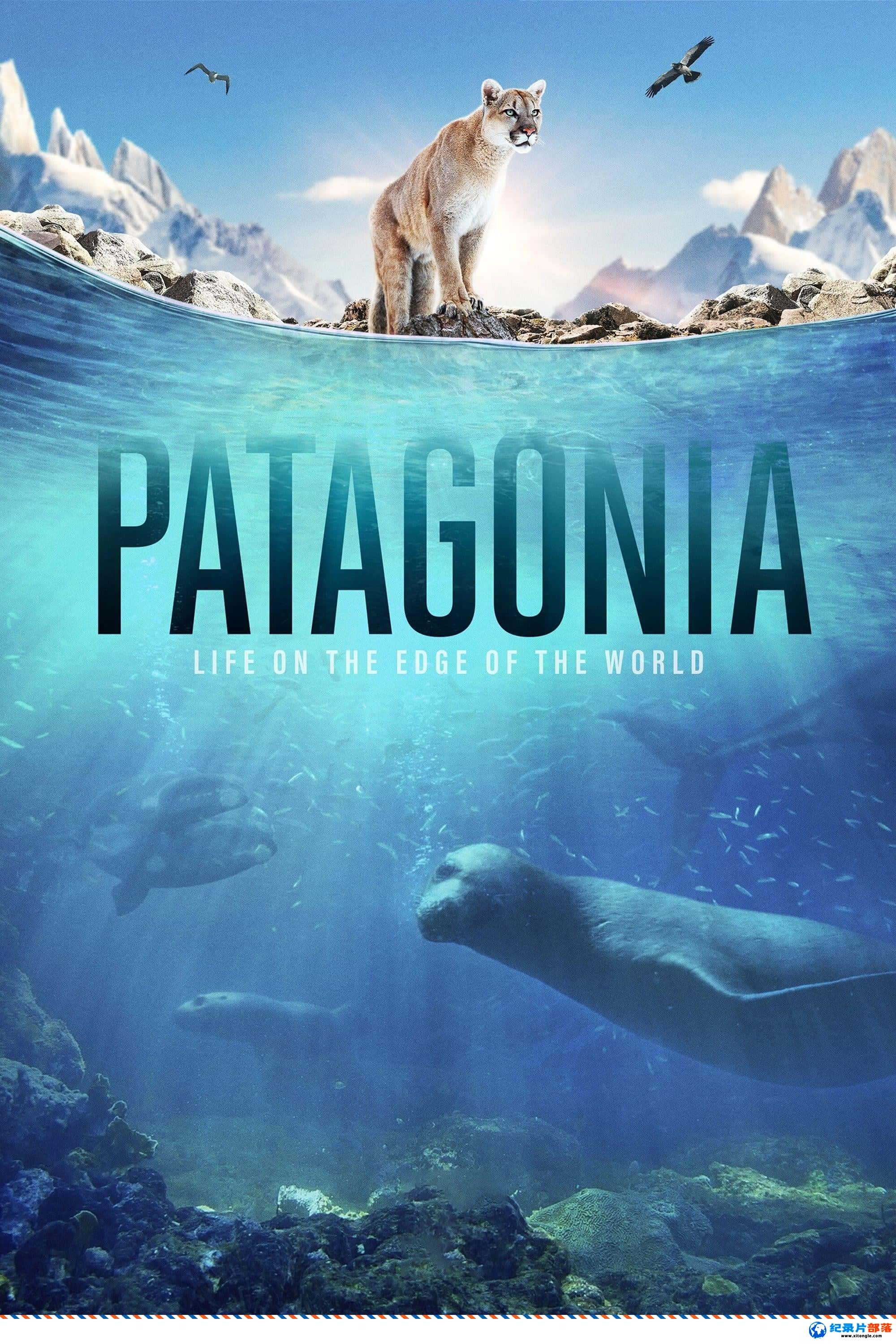 ̬¼ƬǣԵ Patagonia: Life on the Edge of the World 2022 Ӣ-Ѹ