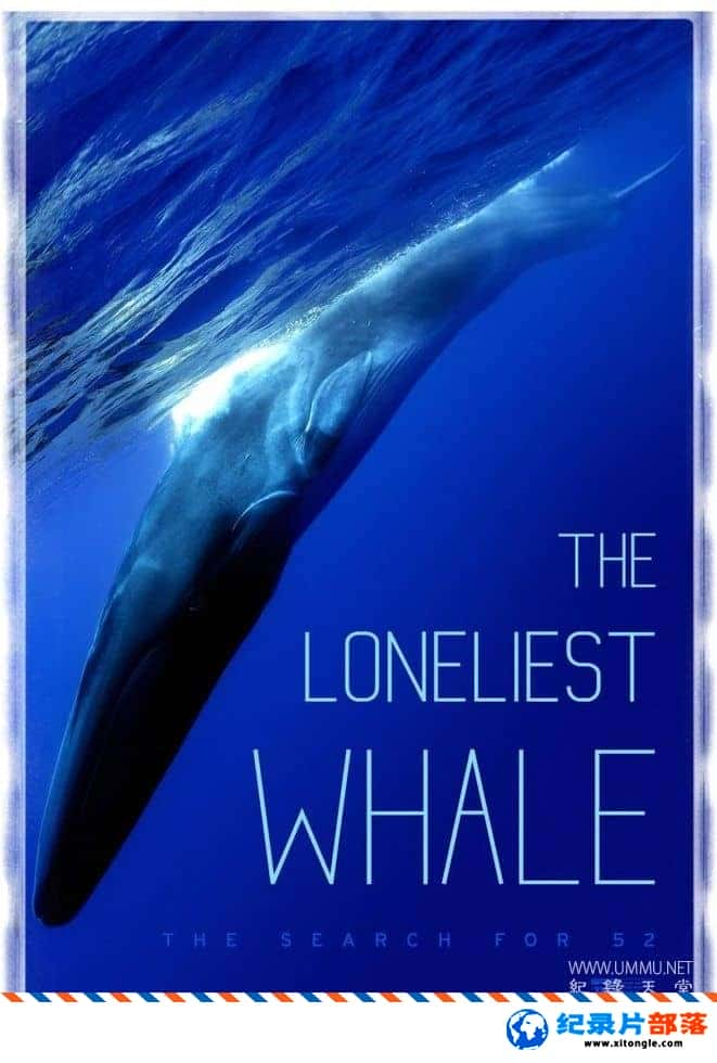 ̬¼Ƭ¶ľ㣺Ѱ52Ⱦ he Loneliest Whale: The Search for 52 2021ӢӢ˫-Ѹ