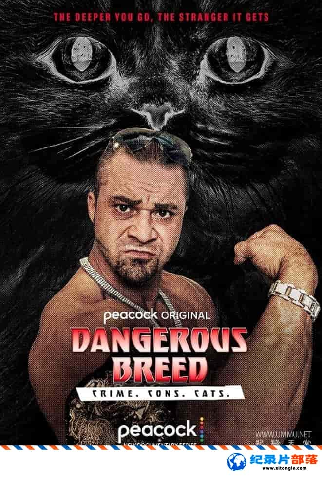 ʷ¼ƬΣƷ֣. ײ. è.  Dangerous Breed: Crime. Cons. Cats 2022 ӢӢ˫-Ѹ