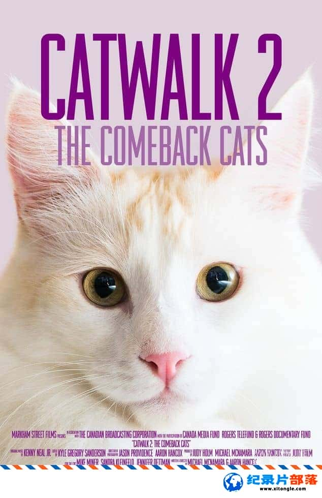 ¼¼Ƭè2è Catwalk 2: The Comeback Cats 2022ӢӢ˫-Ѹ