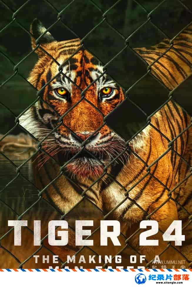 ʷ¼Ƭ24ϻ Tiger 24 2022ӢӢ˫-Ѹ