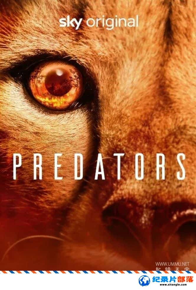 ̬¼Ƭʳ Predators 2022һ ӢӢ˫-Ѹ