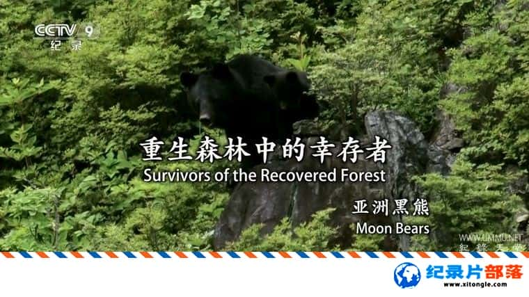 ѧ̽¼ƬɭеҴߡ޺ Survivors of the Recovered Forest Moon Bears 2018-Ѹ