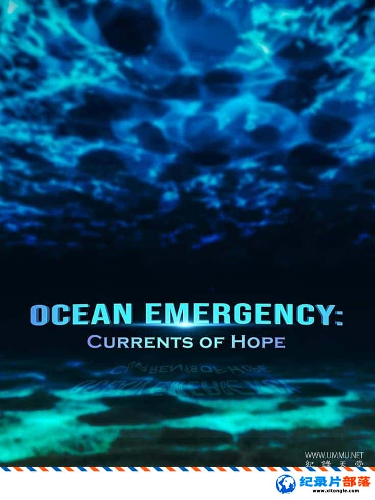 ̬¼Ƭϣ֮ Ocean Emergency: Currents of Hope 2022ӢӢ˫-Ѹ