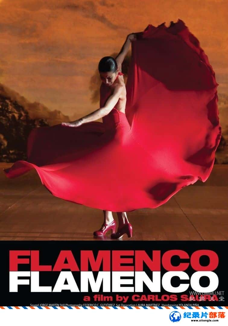 ʷ¼ƬŸ꣬Ÿ Flamenco, Flamenco 2010-Ѹ