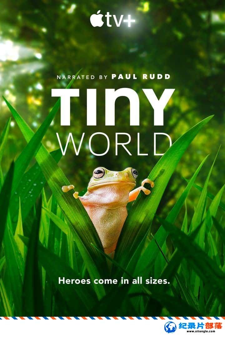 ̬¼ƬСС Tiny World 2021ڶ Ӣ-Ѹ