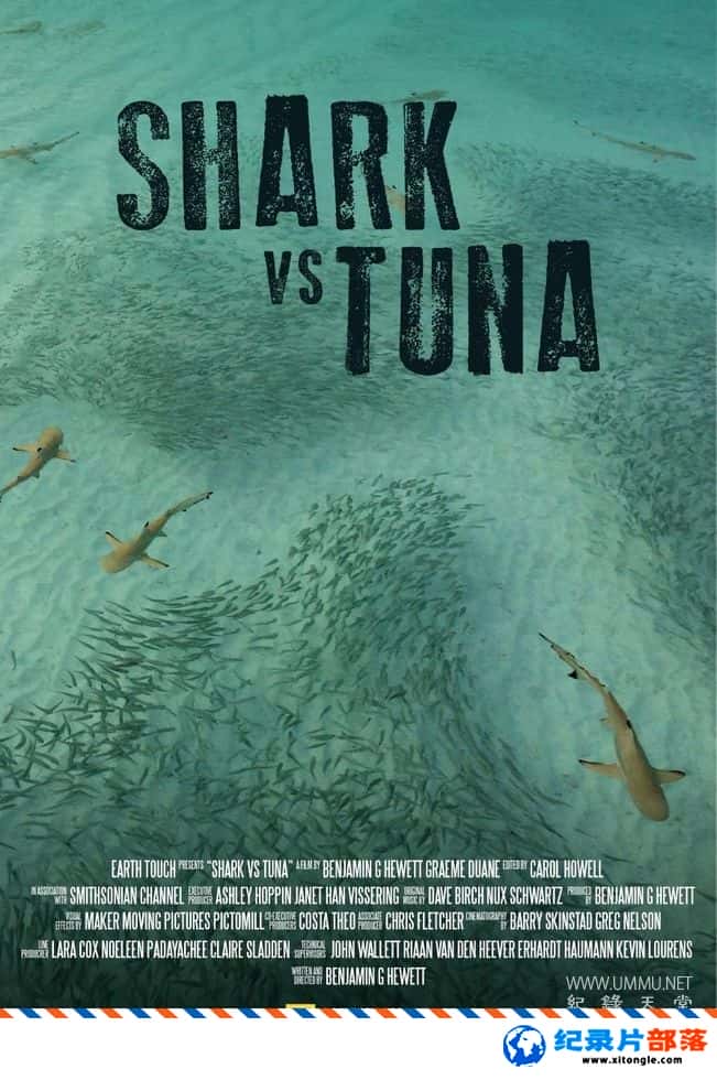 ̬¼Ƭ Shark vs Tuna 2018ӢӢ˫-Ѹ