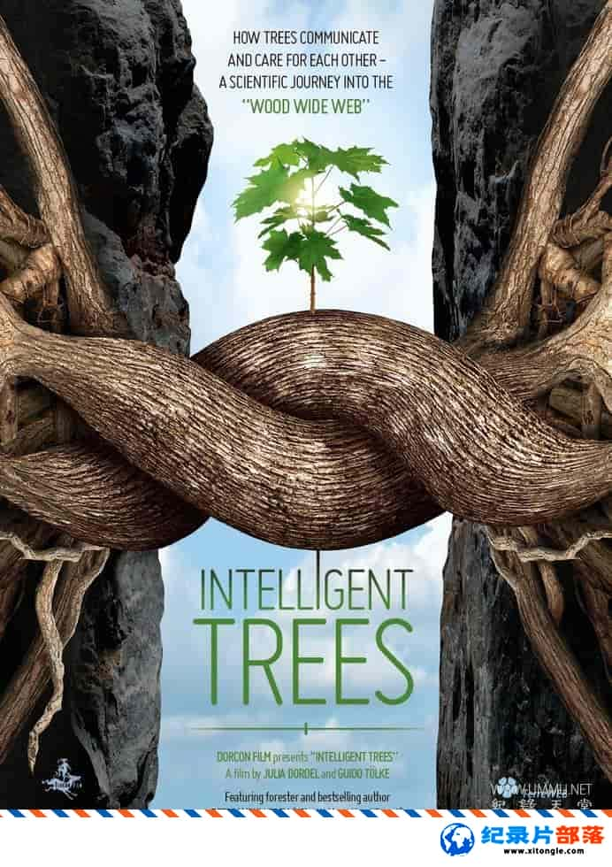 ̬¼Ƭ Intelligent Trees 2016ӢӢ˫-Ѹ