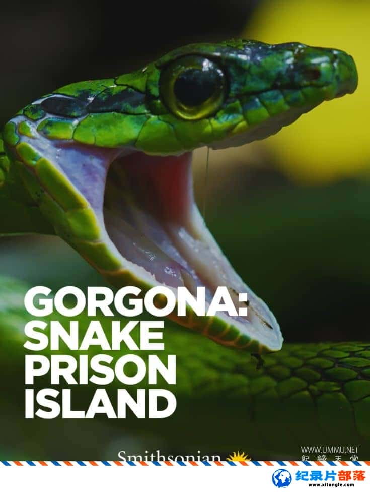 ̬¼Ƭɣߵ Gorgona: Snake Prison IslandӢ-Ѹ