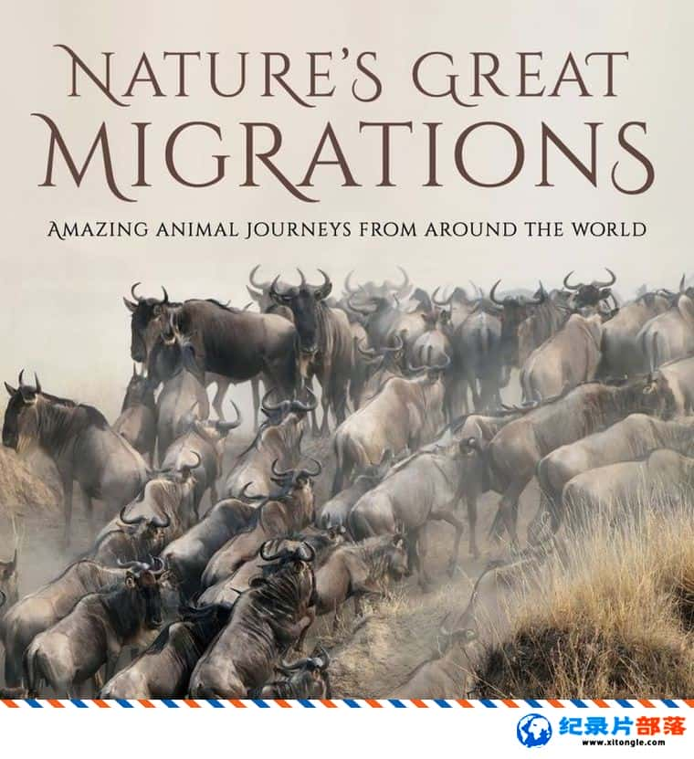 ̬¼ƬǨ Great Migrations 2010 Ӣ-Ѹ