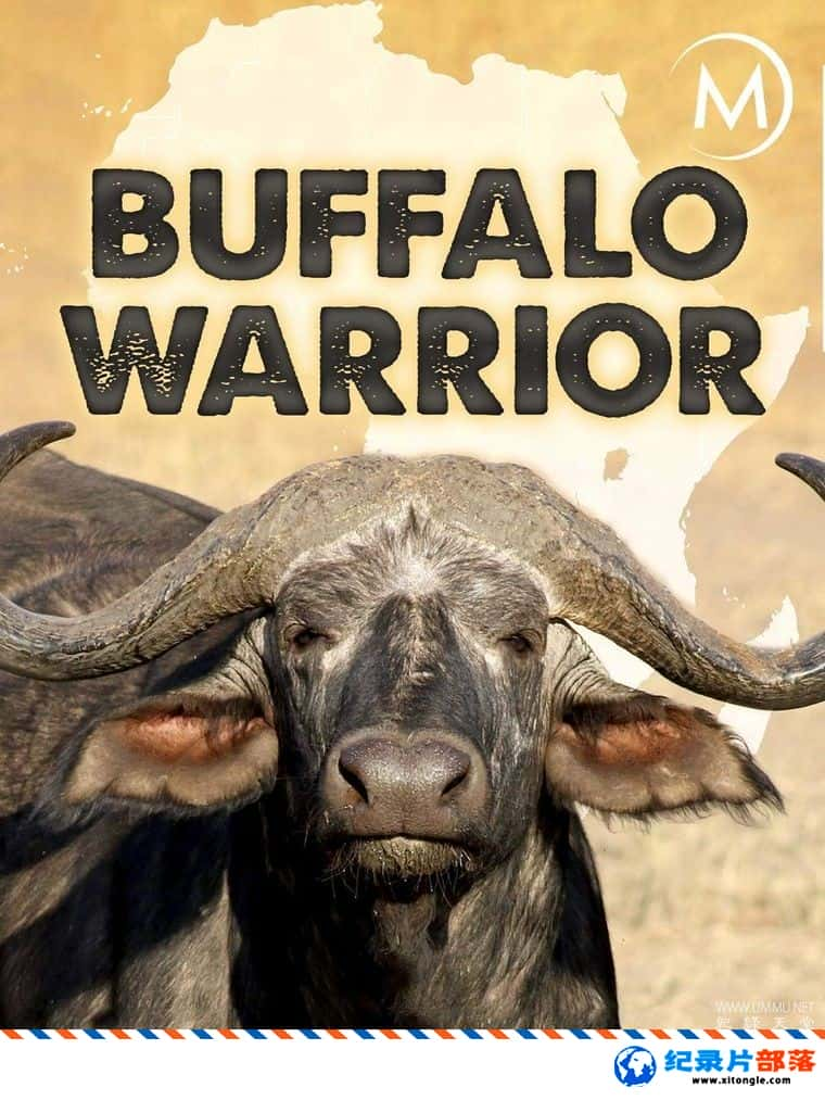 ʷ¼Ƭˮţսʿ Buffalo Warrior 2010-Ѹ